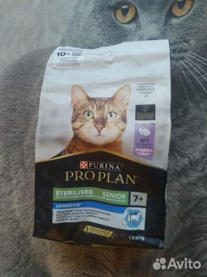 Корм для кошек