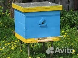 Ульи для пчел бу дадан 12 рамок, соторамки 145 (су