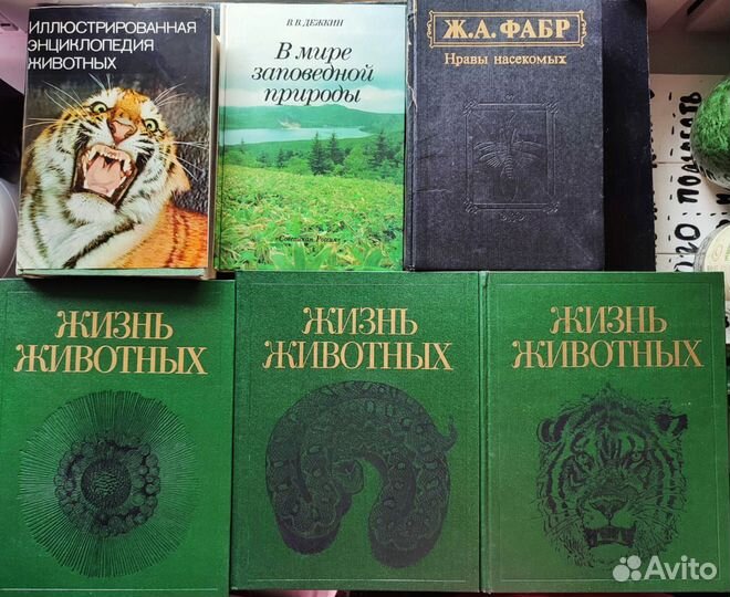 Советские книги животные
