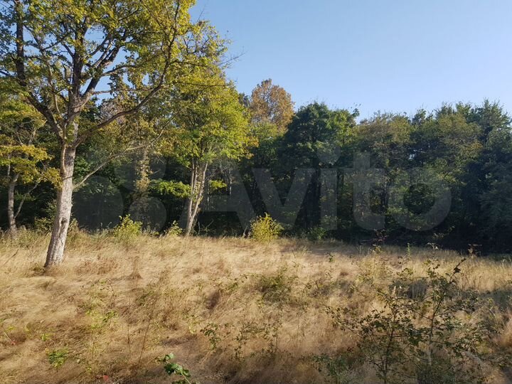 Участок 2,79 га (СНТ, ДНП)