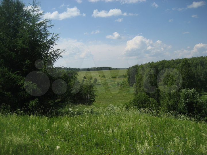 Участок 22 га (ИЖС)