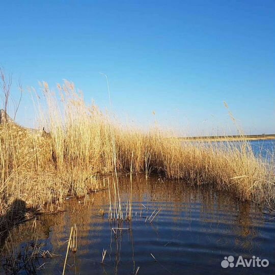 Маскировочная сеть 2,5х1,47 м от Дмитрия Уварова
