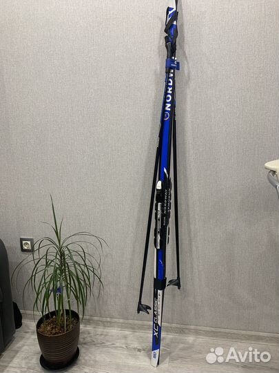 Беговые лыжи