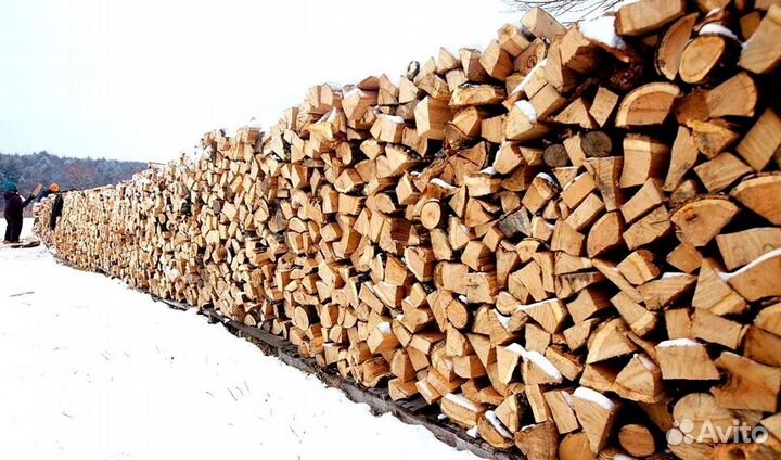 Дрова опт