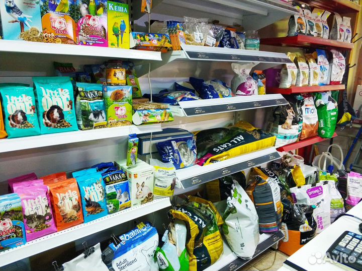 Действующий зоомагазин. Готовый бизнес