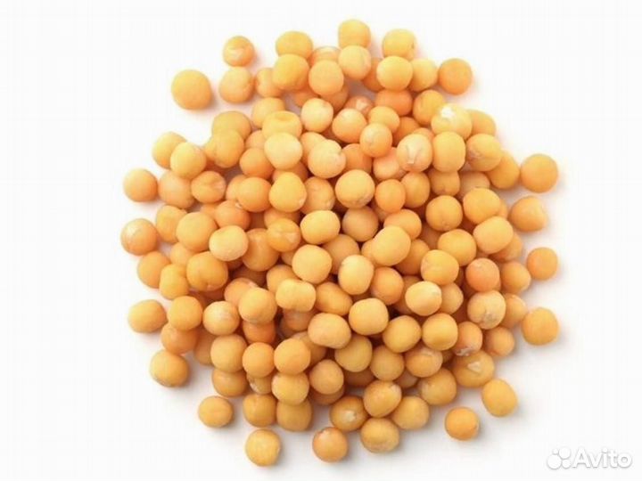 Горох с поля (сырье). Оптом от 1 тонны