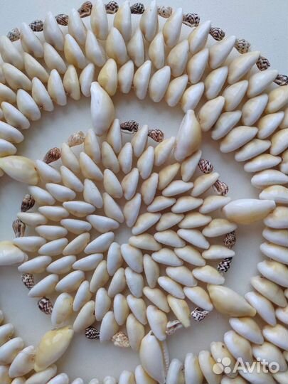 Сувенир морские ракушки подставка