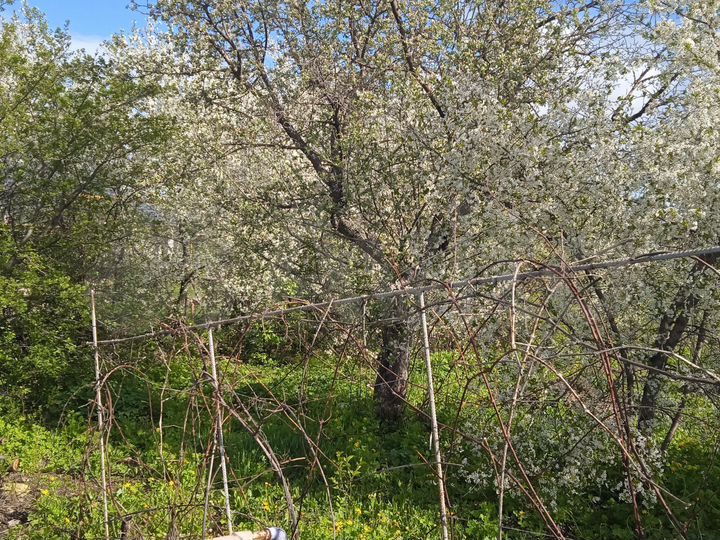 Участок 15 сот. (ИЖС)