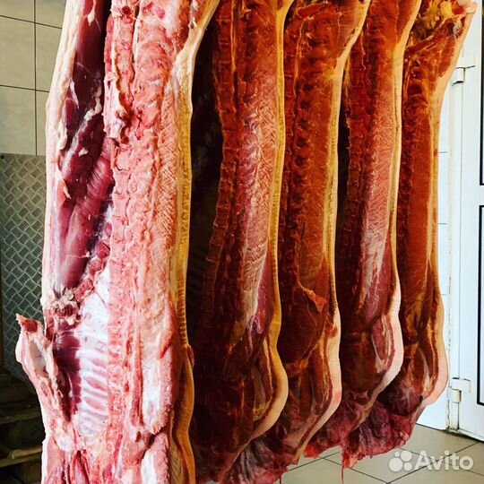 Свежее Мясо свинины полутушами и четверти Доставка