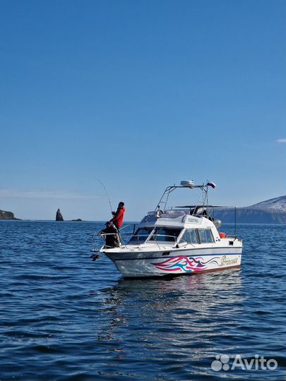 Морские прогулки на катере