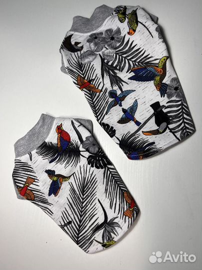 Майки для собак и кошек