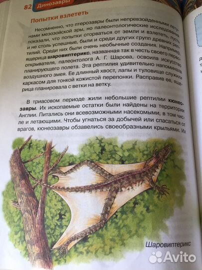 Книга позновательная