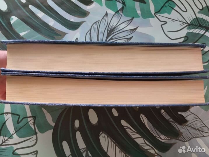 Подробный словарь Ровинского, 2тома