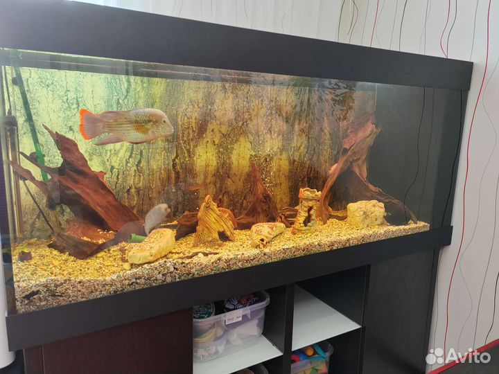 Аквариум с тумбой на 500 л