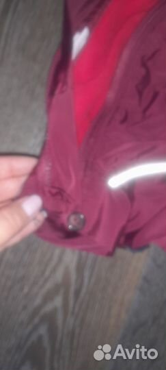 Комбинезон демисезонный для собаки йорк