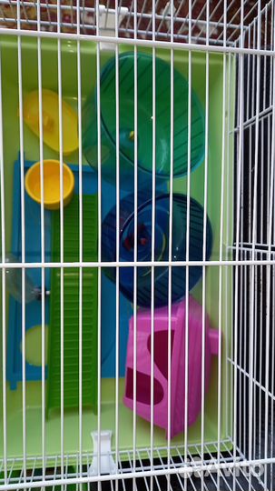 Клетка для хомяка