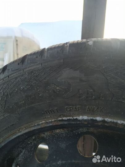 Gislaved Nord Frost 5 185/65 R15