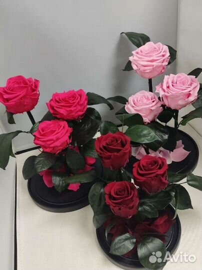 Роза в колбе оптом