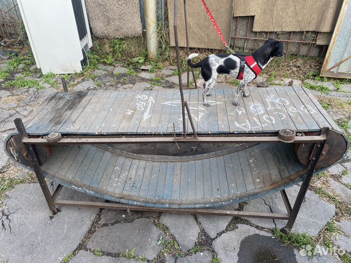 Беговая дорожка для собак