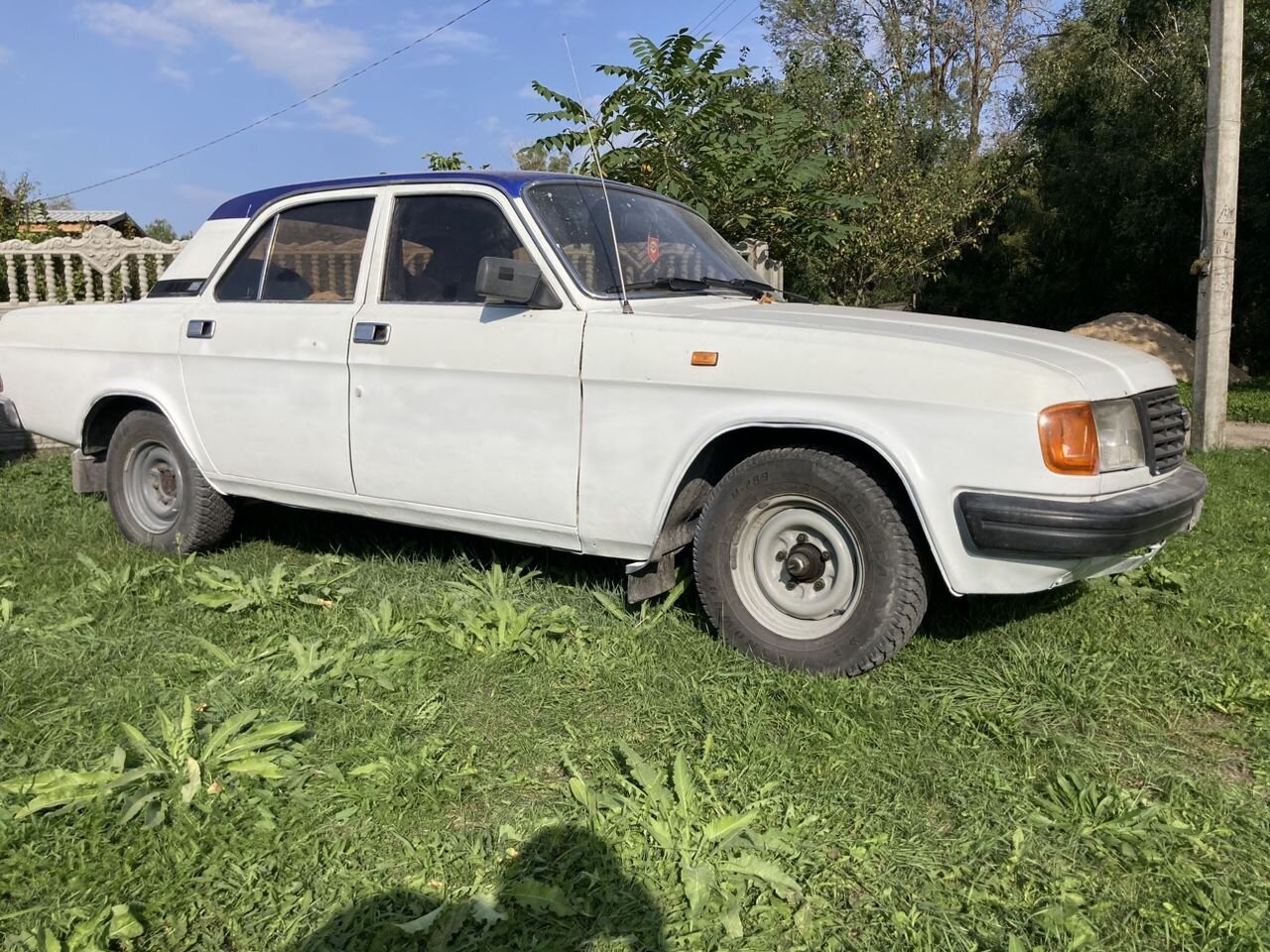 ГАЗ 31029 Волга: фото владельца