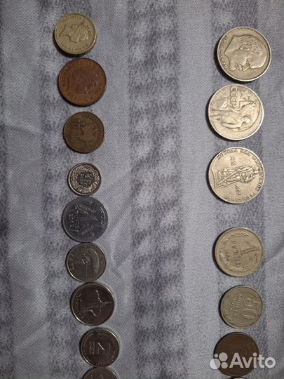 Монты для колекции