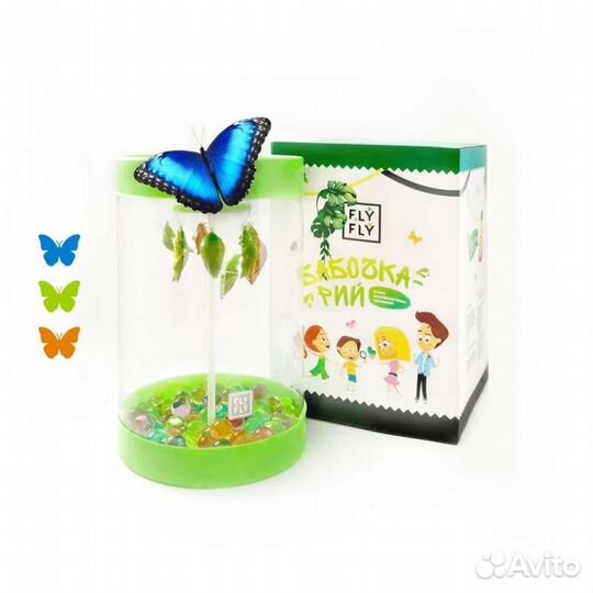 Подарок для мaльчиka и девoчки. Живые бабочки