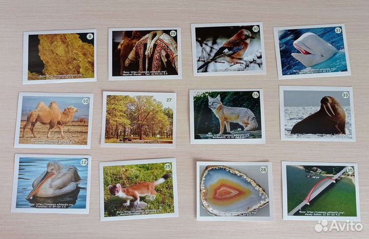 Наклейки обмен/продажа