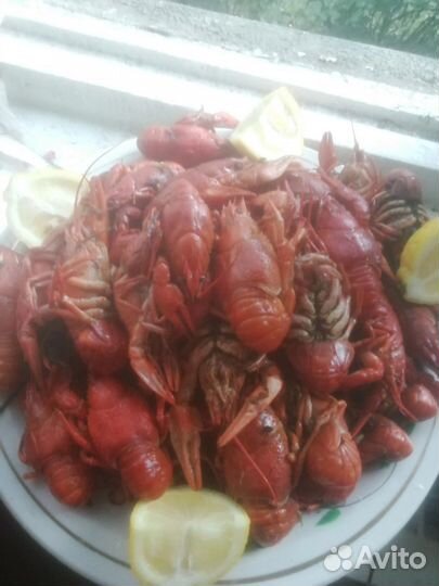 Раки вареные