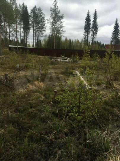 Участок 20 сот. (СНТ, ДНП)