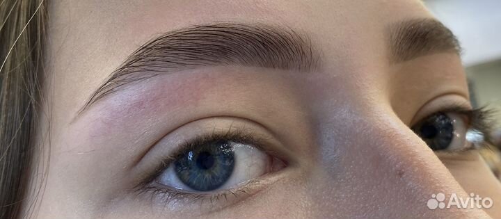 Мастер бровист