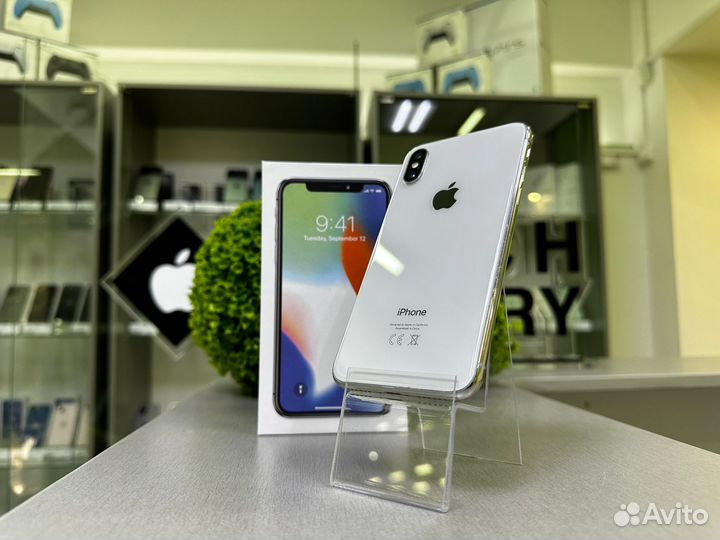 iPhone X, 256 ГБ