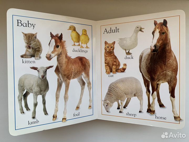 Книжка-малышка на английском