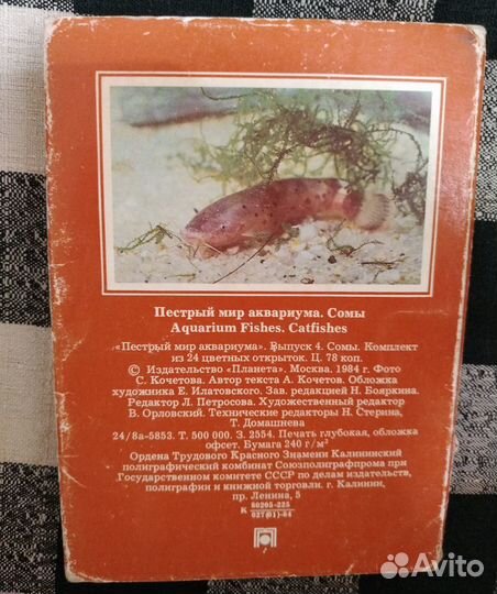 Открытки Аквариум