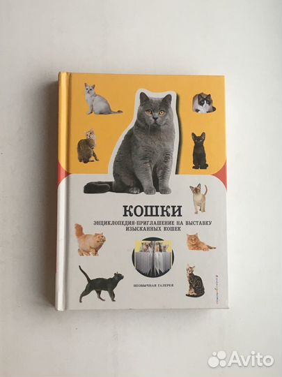 Дженнифер Пуллинг: Кошки