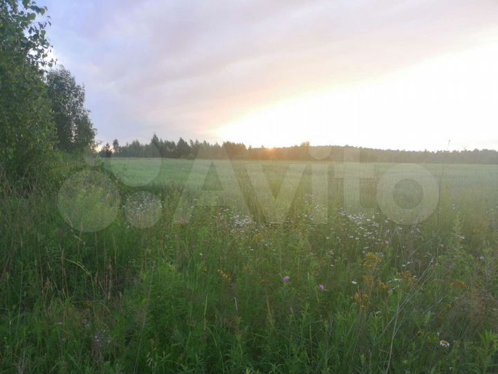 Участок 4,5 га (СНТ, ДНП)