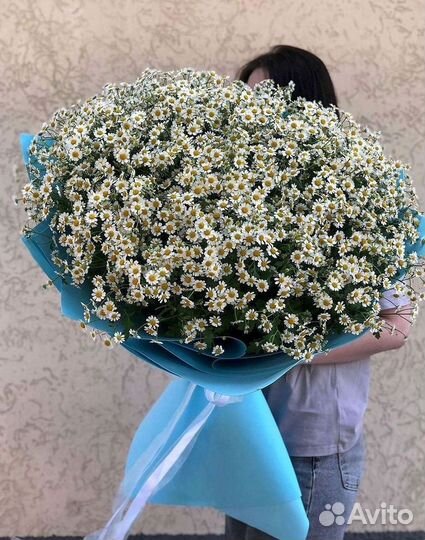 Цветы ромашки. Букеты ромашек. Цветы доставка