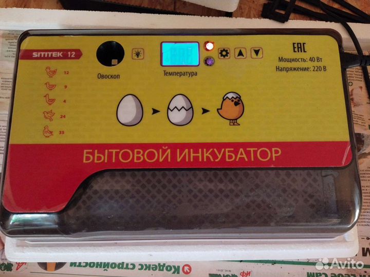 Автоматический инкубатор