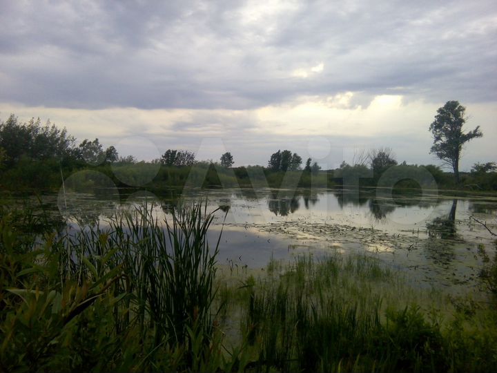 Участок 28 га (СНТ, ДНП)