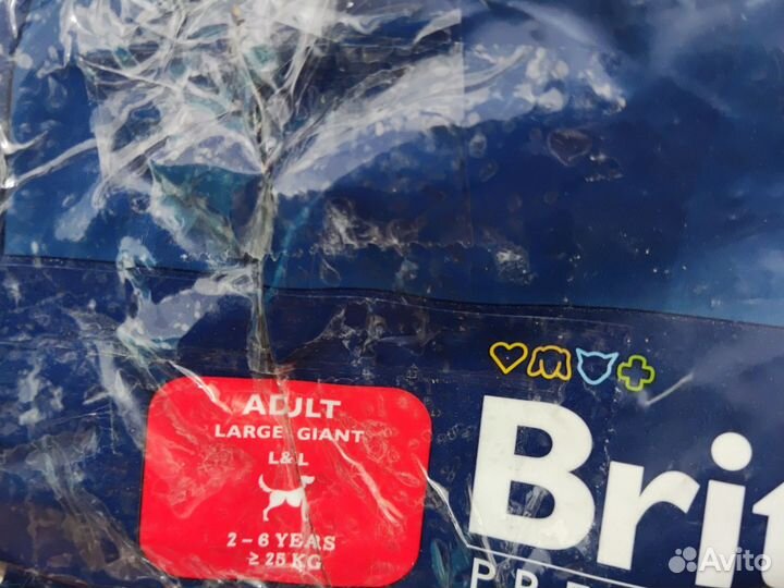 Корм для собак