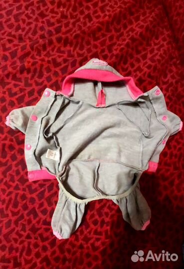 Одежда для собак