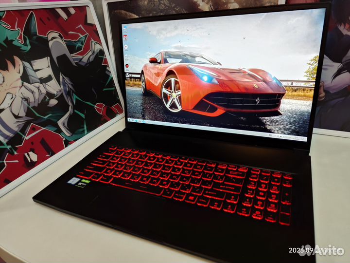 MSI/17.3/IPS/144Гц/1650Ti/M2 NVMe 256Gb