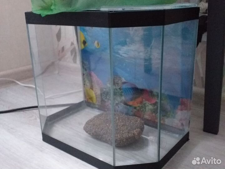 Аквариум для черепах