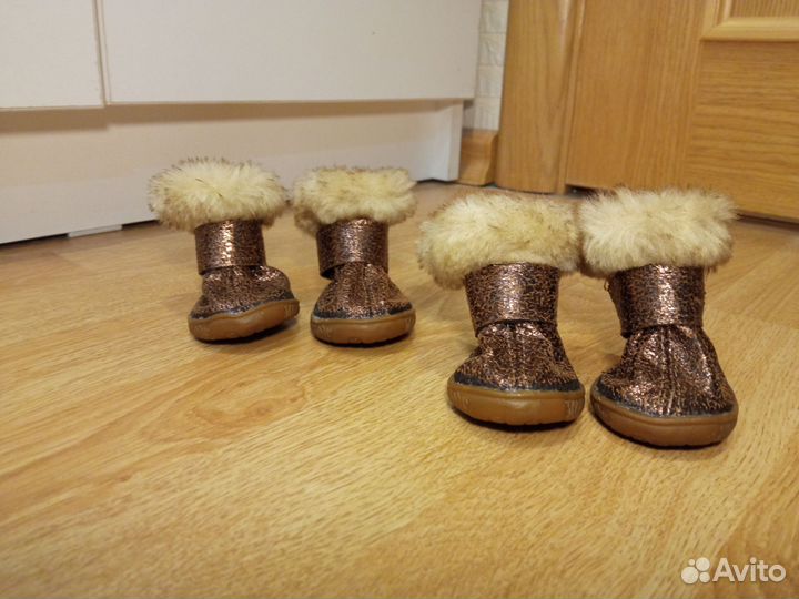 Ботиночки для собак