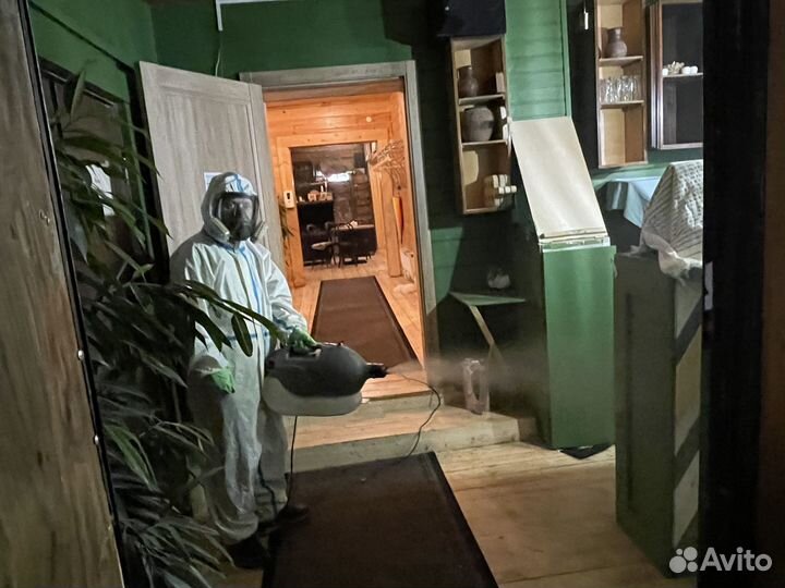 Уничтожение клопов, тараканов, мышей