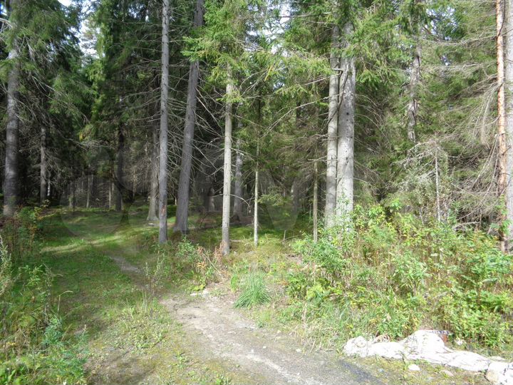 Участок 1,34 га (ИЖС)