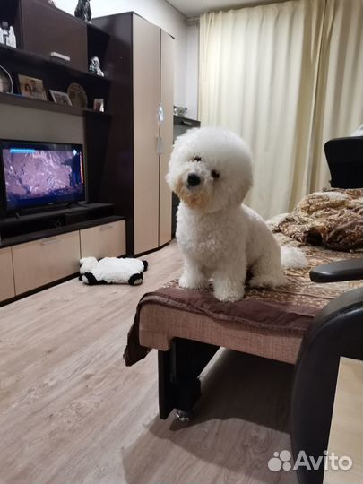 Вязка