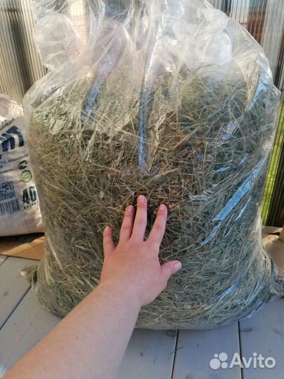 Сено луговое-только самовывоз