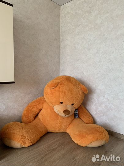 Гигантский плюшевый медведь