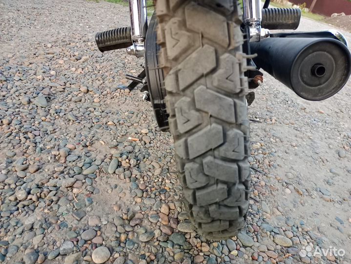Alpha rx10