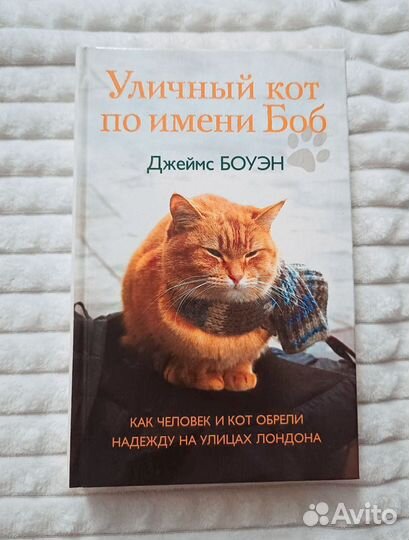 Уличный кот по имени Боб. Джеймс Боуэн